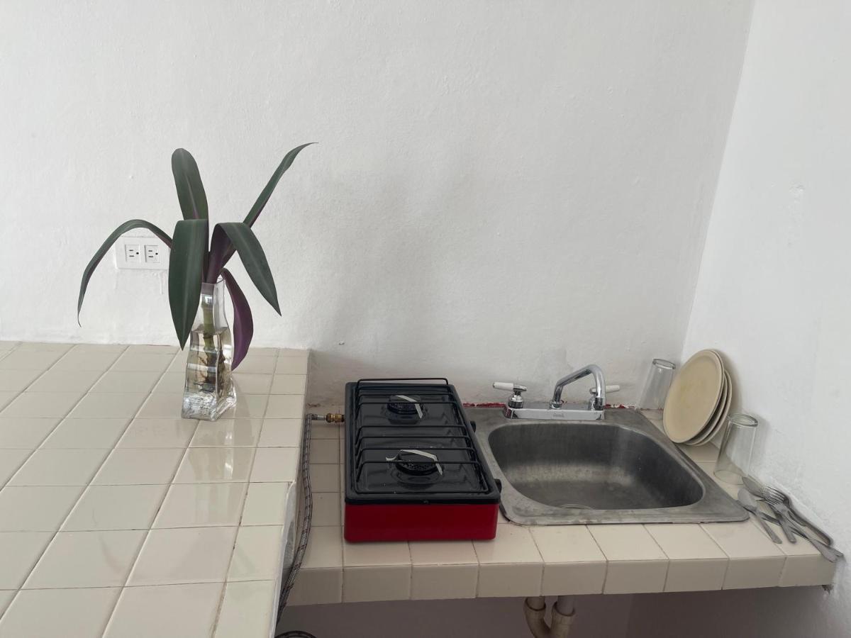 Apartamentos Cupules 메리다 외부 사진